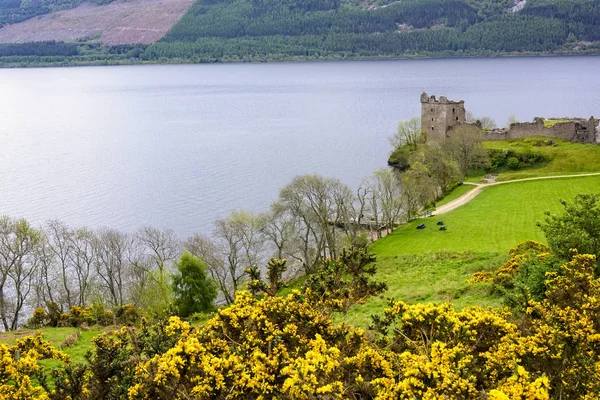 Castillo de Urquhart en el río Ness —  Fotos de Stock