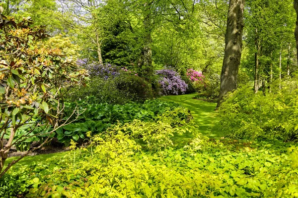 Garden at Holyrood Palace — Stock Photo, Image