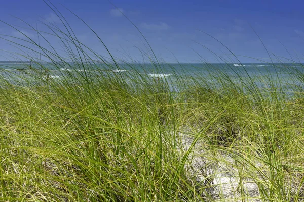 Piaszczysta plaża nad Zatoką Meksykańską — Zdjęcie stockowe