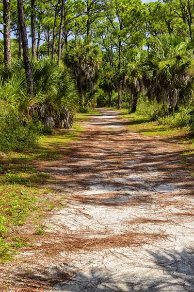 自然徒步旅行路径在佛罗里达州 — 图库照片