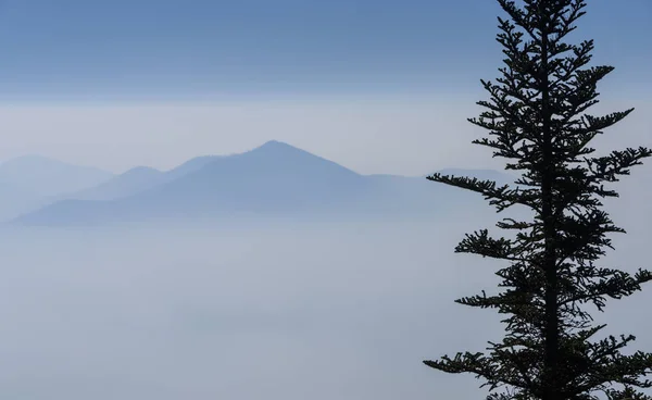 Góry Blue Ridge w Północnej Karolinie — Zdjęcie stockowe