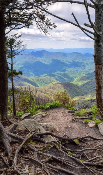 Blue Ridge Dağları'nın Manzara Manzarası — Stok fotoğraf