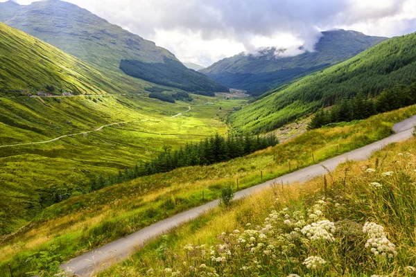 Argyll Forest Park en Escocia — Foto de Stock