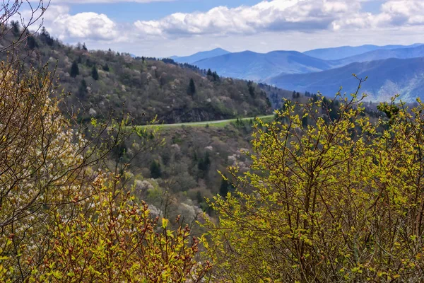 Blue Ridge Mountains nella Carolina del Nord — Foto Stock