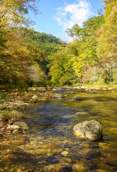 Flowing Stream Through North Carolina Mountains — Stock Photo, Image