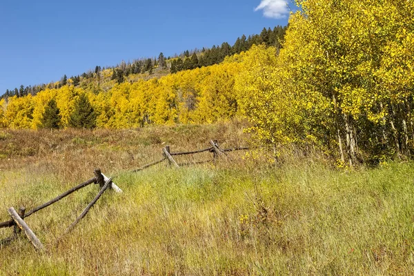 Campagna rurale e colori dorati dell'autunno — Foto Stock