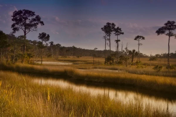 佛罗里达州北部靠近塔拉哈西圣马克河的沼泽地和沼泽地区 — 图库照片