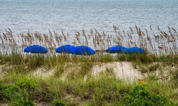 Paraguas Color Azul Fernandina Beach Amelia Island Florida —  Fotos de Stock