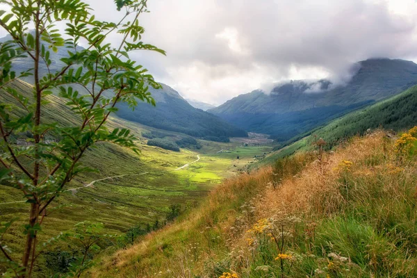 Argyll Forest Park Park Leśny Położony Półwyspie Cowal Argyll Bute — Zdjęcie stockowe