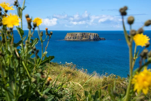 Sheep Island Eine Insel Vor Der Nordküste Der Nähe Von — Stockfoto