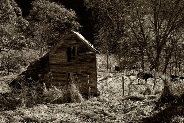 Old Ruined Abandoned Barn Sepia Tone — Stock Photo, Image