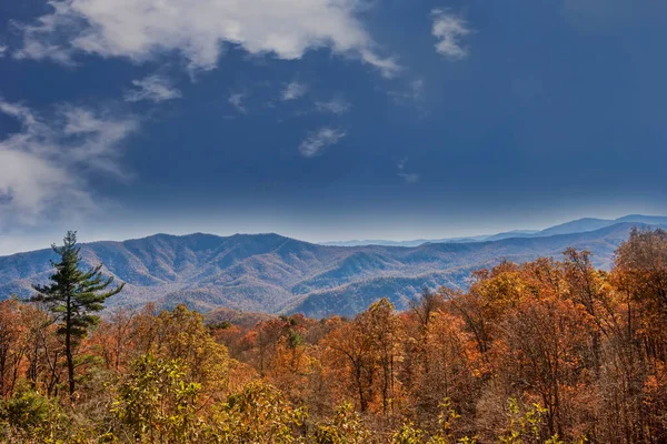 Höstfärger Och Blue Ridge Mountain North Carolina — Stockfoto