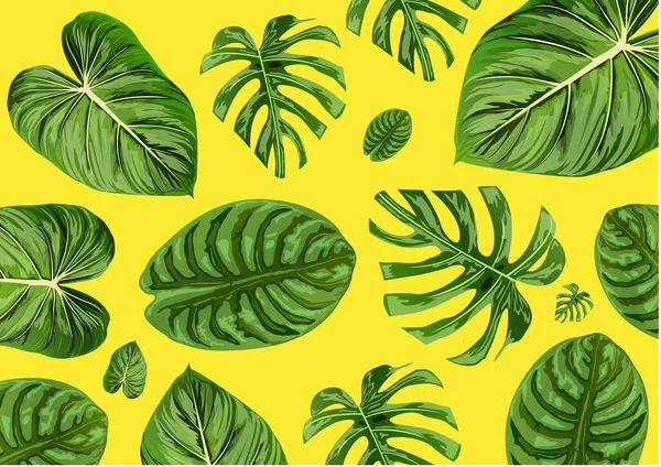 Hermoso Fondo Hoja Verde — Vector de stock