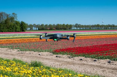 Bir lale alan üzerinde uçan robot