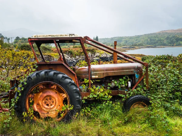 Gammel, rusten traktor overgrodd med ugress nær en innsjø – stockfoto