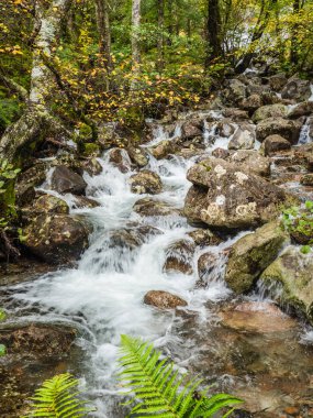 Glen Nevis, İskoçya vadisinde şelale