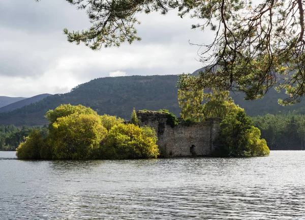 Ruina en el bosque de Rothiemurchus en Cairngorms Escocia — Foto de Stock