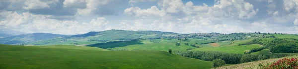 Panorama del campo toscano vicino a Siena in estate — Foto Stock