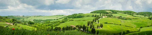 Zypressenstraße in der Nähe von monticchiello, Toskana, Italien — Stockfoto