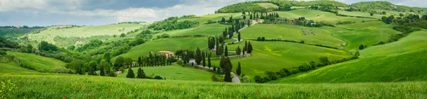 Zypressenstraße in der Nähe von monticchiello, Toskana, Italien — Stockfoto