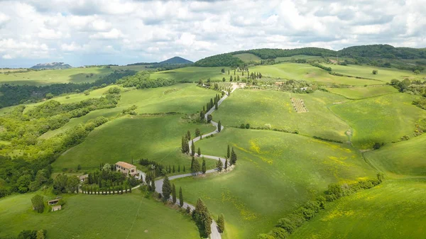 Aerea di strada dei cipressi vicino al piccolo paese di Monticchiello, Toscana, Italia — Foto Stock