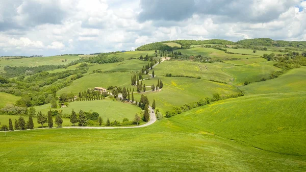 Aérien de la route des cyprès de Monticchiello, Toscane, Italie — Photo