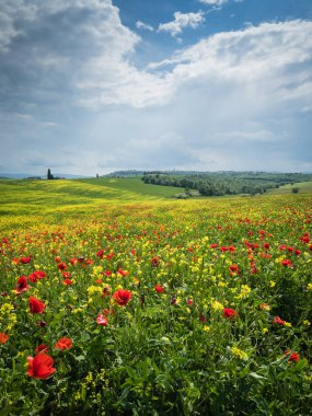 Poppies Toskana, İtalya'da bir alandır