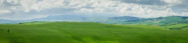 Маки в поле в Тоскане, Италия — стоковое фото