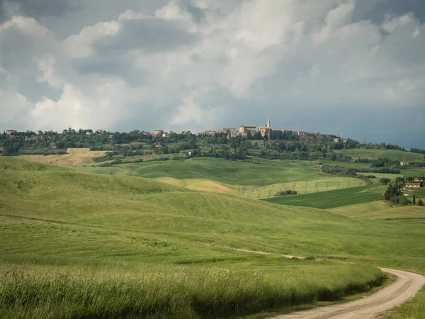 Papoulas em um campo na Toscana, Itália — Fotografia de Stock