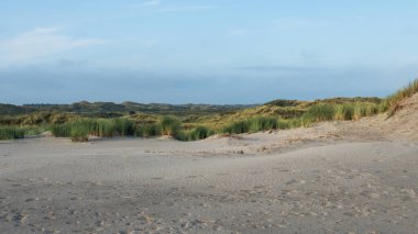 Terschelling Adası 'ndaki kumullar