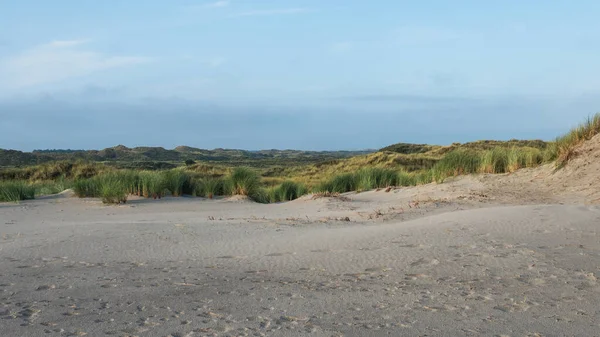 Dune erbose sull'isola di Terschelling — Foto Stock
