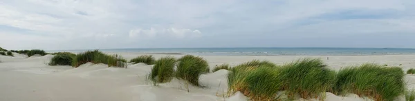 Panorama över gräsbevuxna sanddyner på ön Terschelling — Stockfoto