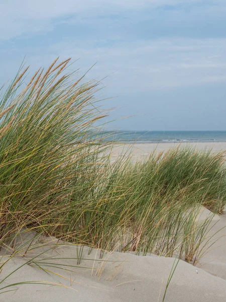Travnaté duny na ostrově Terschelling — Stock fotografie
