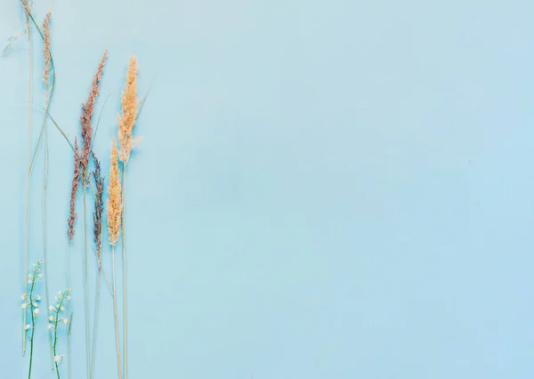 Fiori Biologici Naturali Fatti Mano Sfondo Blu Vista Dall Alto — Foto Stock