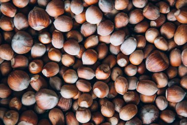 kestane kazık ile meşe palamudu kahverengi organik desen