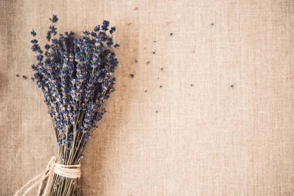 Selective focus on lavender flowers on textile background 
