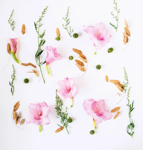 Patrón Floral Con Gladiolo Rosa Flores Silvestres Beige Con Hojas — Foto de Stock