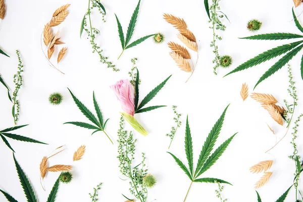 Patrón Floral Con Flores Silvestres Hojas Cannabis Verde Aisladas Sobre — Foto de Stock