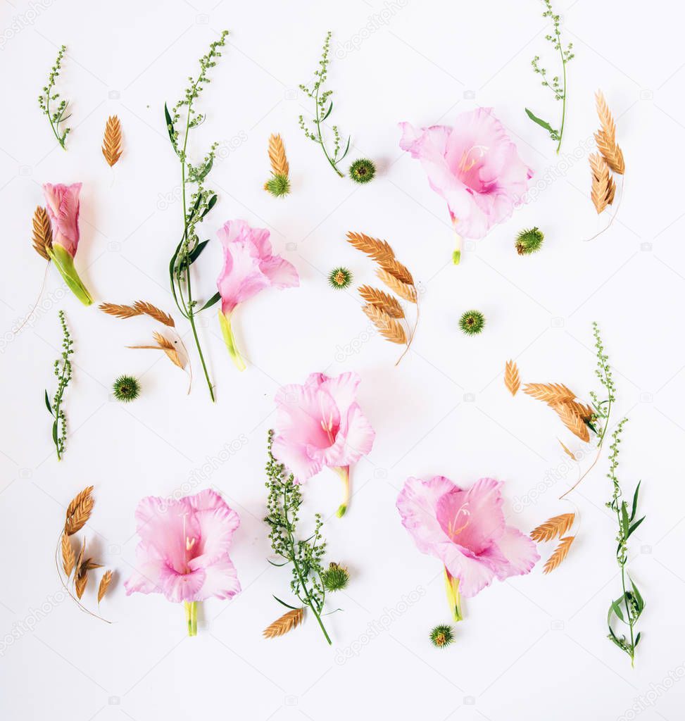 Floral pattern with pink gladiolus and beige wildflowers with green leaves on white background, top view. Valentine Day concept.