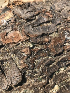 Eski doğal desenli koyu ahşap arkaplan yüzeyi