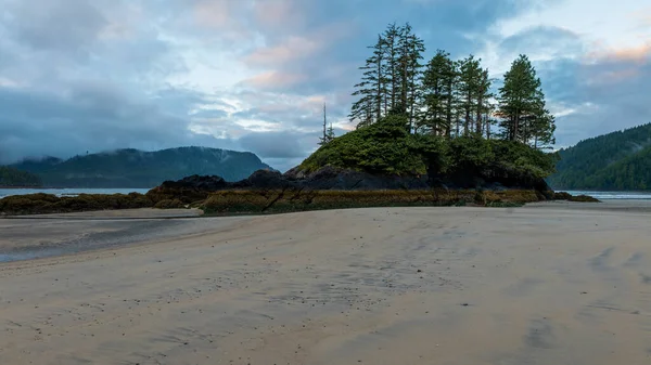 Plaża Piaszczysta Drzewami Wyspie Zatoce San Josef Wyspie Vancouver Kolumbia — Zdjęcie stockowe