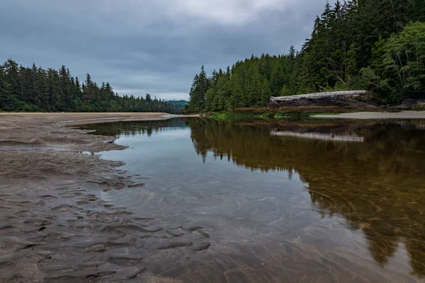 Esta Desembocadura Del Río San Josef Cape Scott Provincial Park —  Fotos de Stock