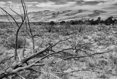 Dunes Overlook izi; Büyük kumulları Milli Parkı, Co