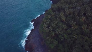 Bakir sahilde kayalar ve dalgalar Karayipler 'de palmiye ağaçları 4k 24 fps