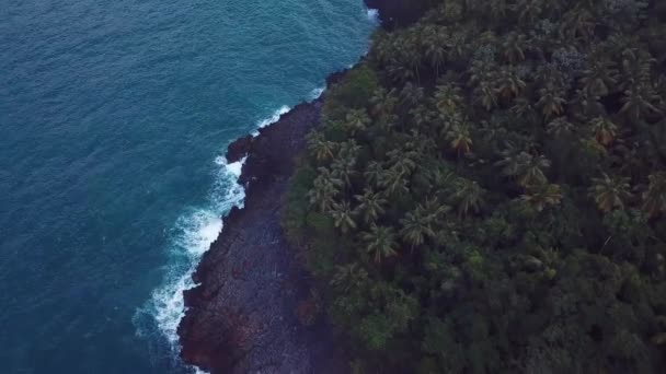 Rochas e ondas na praia virgem e palmeiras no caribe 4k 24fps — Vídeo de Stock