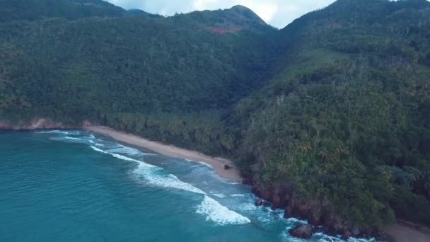 Praia virgem com palmeiras no caribe parece um paraíso — Vídeo de Stock