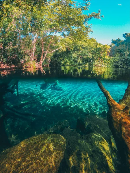 Natural Water Middle Forrest Stock Image