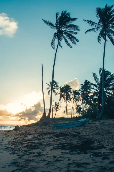 Güneşin doğuşunda kayık Palmiyeler ve kumsalda bulutlar