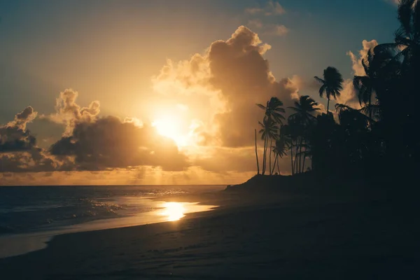 Bulutlar ve palmiye ağaçlarıyla kumsalda gün doğumu