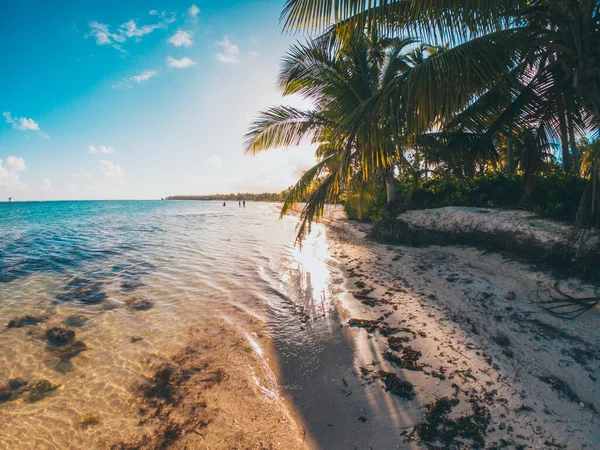 Palma Caribe Con Cielo Azul Paraíso Agua Cristalina Tropical Con — Foto de Stock